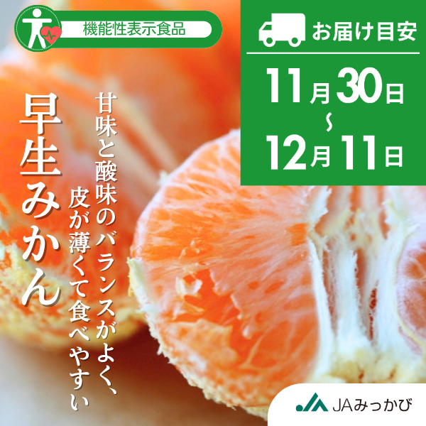 早生みかん【11/30～12/11着予定】