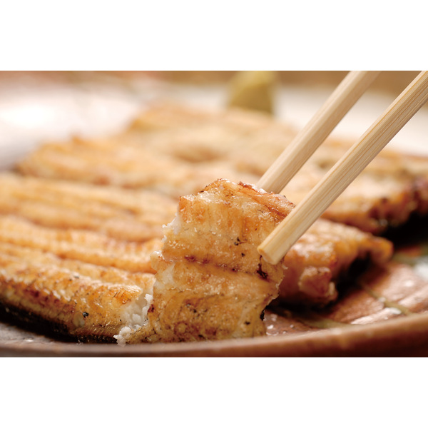 海老仙の国産うなぎ | 三ヶ日みかんの通販・ギフト購入ならJAみっかび