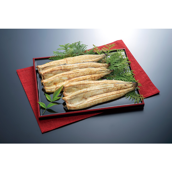 うな オーナー 糸付うなぎ針 | ハリ・仕掛け,その他 | フィッシング