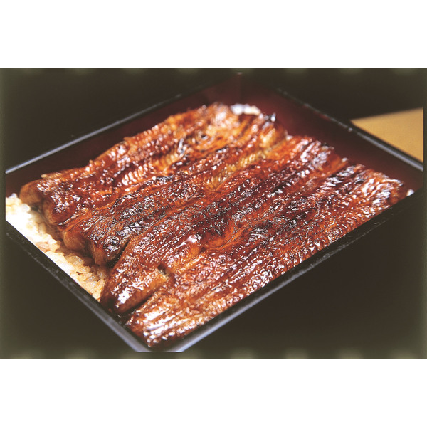 海老仙の国産うなぎ | 三ヶ日みかんの通販・ギフト購入ならJAみっかび